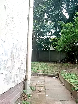 PinkMagic online show from November 11, 3:20 pm