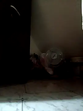 payalchola online show from April 6, 1:16 am