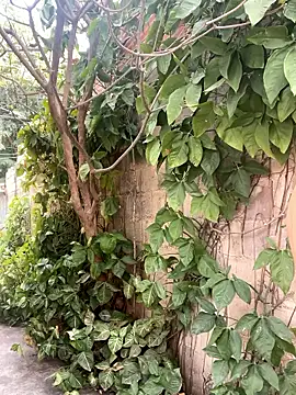 twinks 28 online show from January 14, 8:36 pm