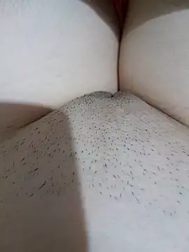 yakot7 online show from September 26, 2:42 am