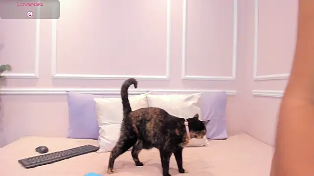 Lucy Canel online show from January 31, 7:11 pm