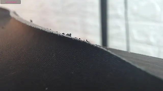 nei girl online show from November 30, 11:47 am