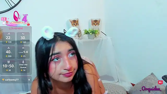  Orquidea  online show from October 29, 1:58 pm