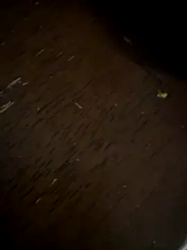 weready79 online show from December 21, 2:38 am