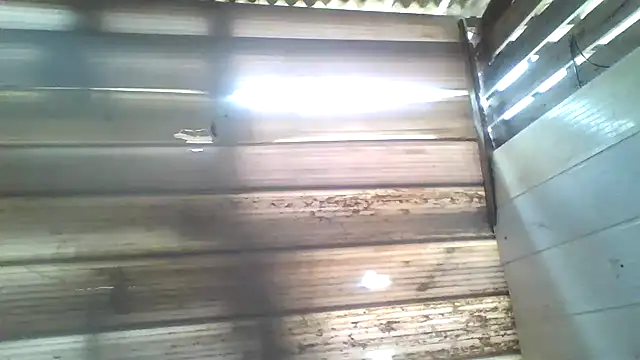 srtsara online show from April 15, 4:07 pm