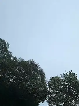 sweetsirenn online show from January 14, 12:54 pm