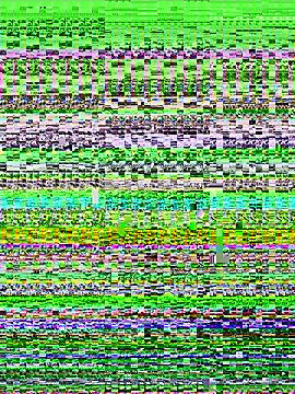 violeta 18x online show from November 15, 7:59 pm