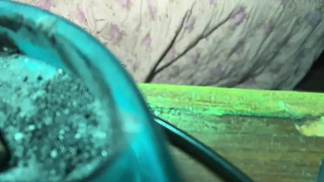 HodgeVibes online show from April 21, 11:50 am