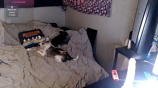 London Ray online show from December 18, 5:01 am