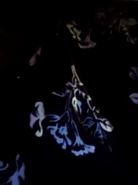 papukurty online show from February 22, 11:33 am