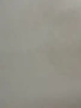 Cute-Sakhi online show from December 15, 2:00 pm