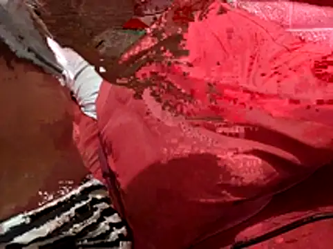 Kellye hotTs online show from February 4, 2:14 am