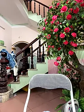 Bollozzy 89 online show from September 26, 9:07 am