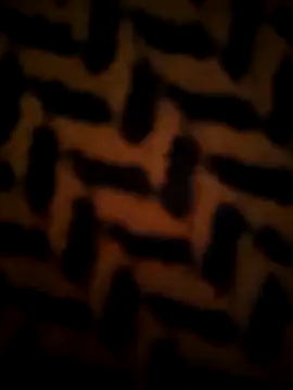 daisylouis online show from April 15, 7:31 am