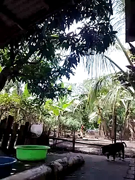 BigBoobs186 online show from September 24, 6:23 am