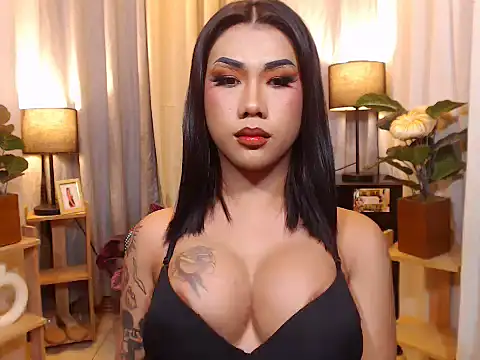 TRANSPORNIDOL online show from February 8, 3:49 pm