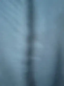 rikutorikukuto online show from November 2, 10:29 am