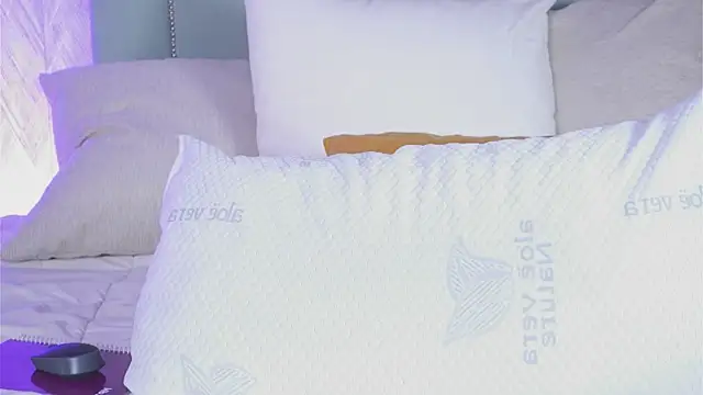 Sofy Bradd online show from September 14, 6:55 am