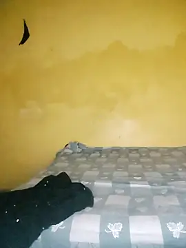 Dazzling khushii online show from December 3, 6:10 pm