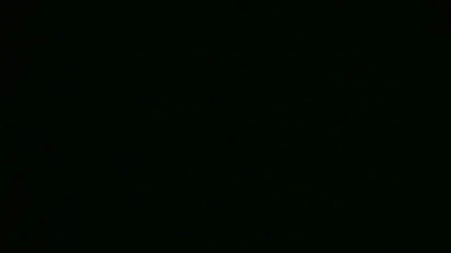 ch0wn m online show from September 18, 1:09 pm