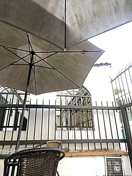 Sallem Pink online show from April 20, 11:13 am