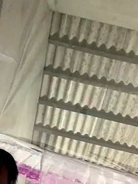 NhuFox online show from January 7, 1:14 pm