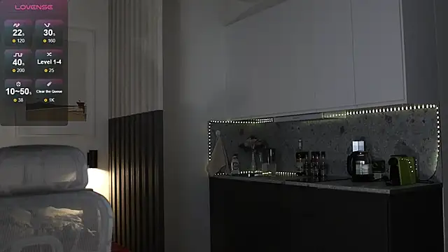 soguesswhat online show from October 27, 1:39 pm