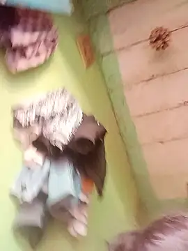 Cut rajbati online show from January 15, 6:41 am