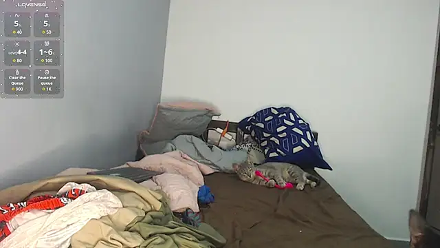 brisazanes online show from November 13, 3:27 am