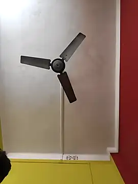 susmicpl online show from February 3, 5:28 pm