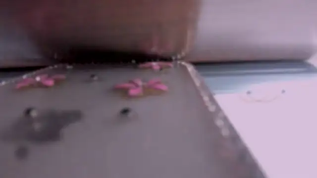 May hadi online show from February 18, 2:10 am