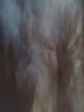 Hott Muskan online show from September 28, 11:59 am