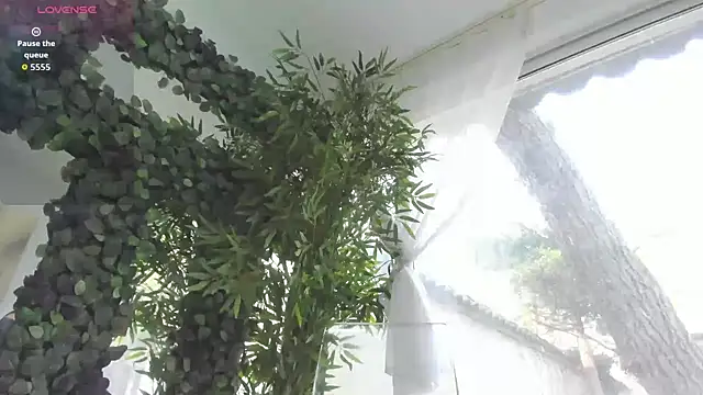 Lexi Storm online show from April 11, 7:45 am