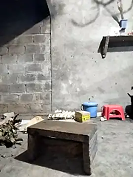 Toadc online show from April 29, 11:13 am