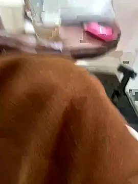   BabyShowPublic   online show from November 21, 5:04 pm