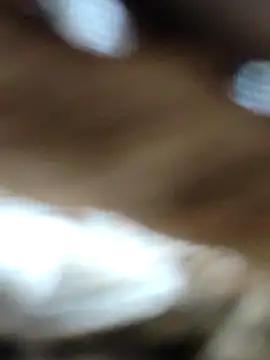 Hot-ilaiy online show from September 21, 12:15 pm