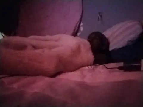 Dick2long87 online show from January 18, 4:09 am