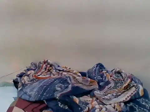 Vaani Singha online show from March 24, 4:12 pm