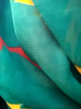 Hita Grewal online show from November 5, 1:55 am