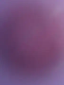 monu bhabi online show from March 28, 2:49 pm