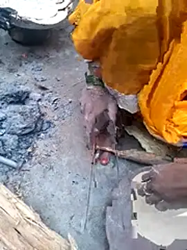 parmila203 online show from February 19, 2:22 am