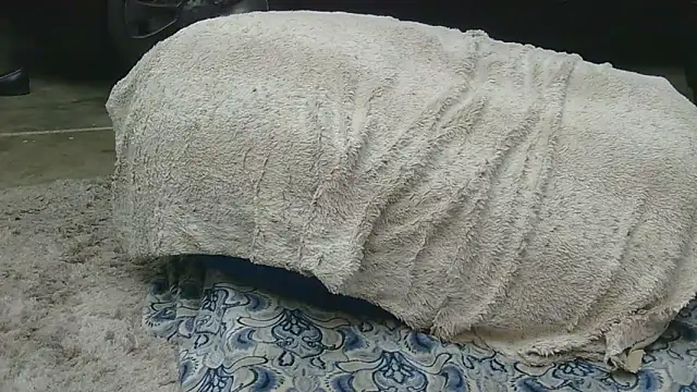 Gmajor online show from February 26, 3:16 am