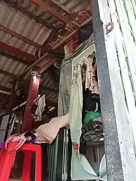 me-cute online show from January 14, 9:36 am