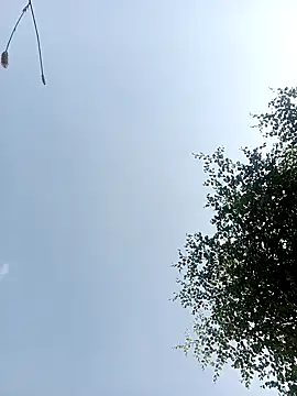 Jivika Jaiswal online show from October 11, 9:36 am