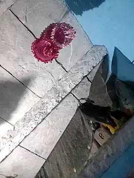 LUCKY cut online show from September 19, 11:37 pm