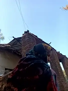 Cm pooja online show from November 29, 3:54 am