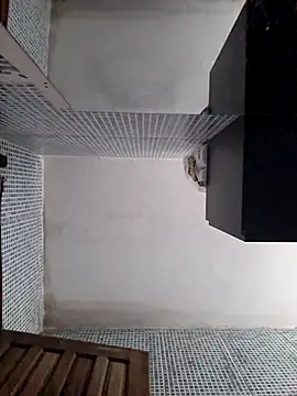 negaa25 online show from October 31, 1:48 pm