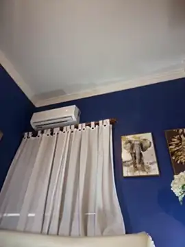 DemiSins online show from December 14, 8:03 pm