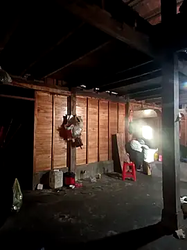 tulipsexy online show from February 26, 5:50 am