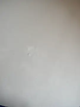 bhabh1 online show from September 17, 9:18 am